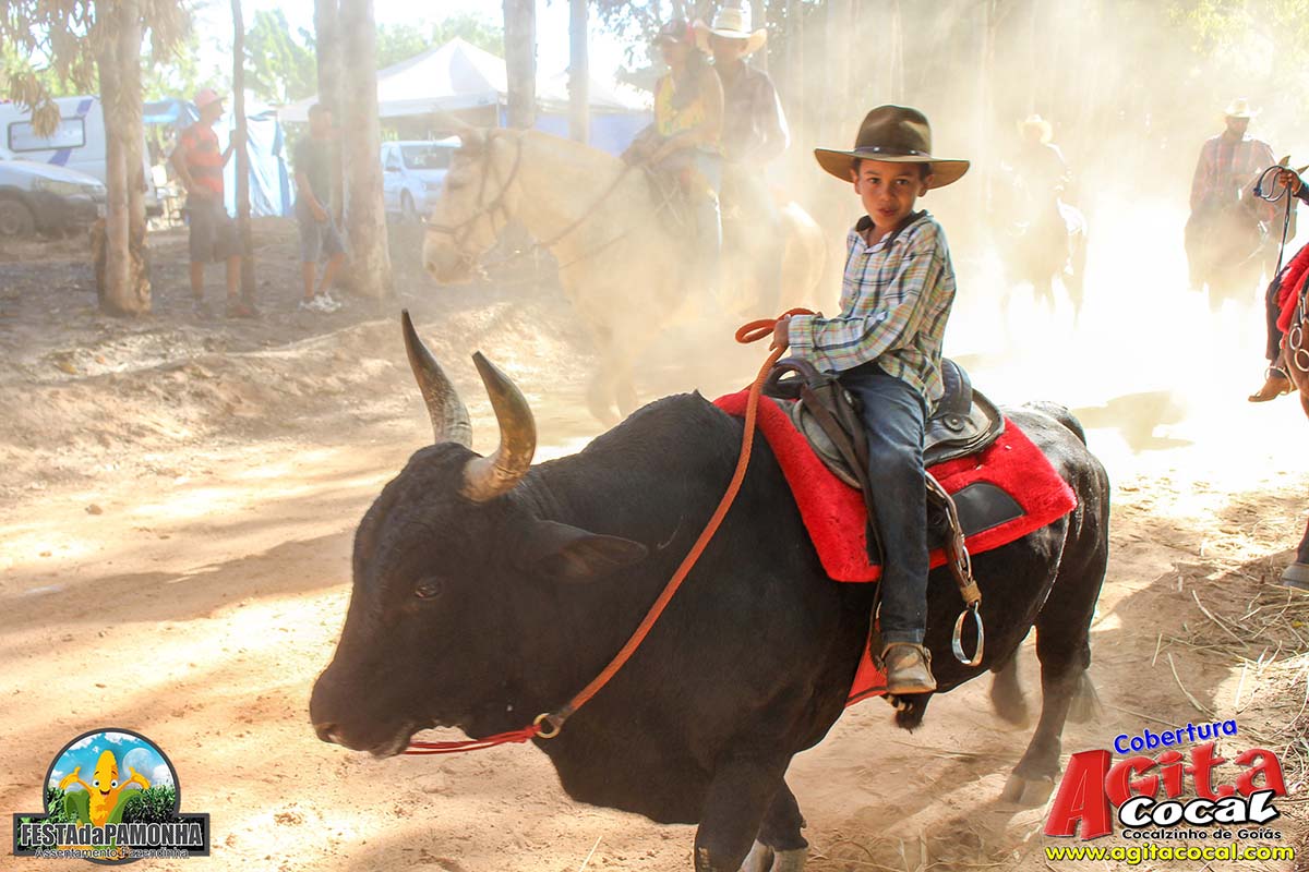 Festa da Pamonha (3 Dia)